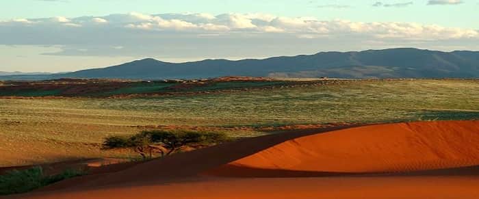 Sossusvlei dunes in the Namib-Naukluft National Park