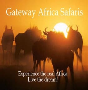Day trips in Windhoek