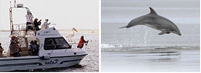 Zambezi river adventure activities