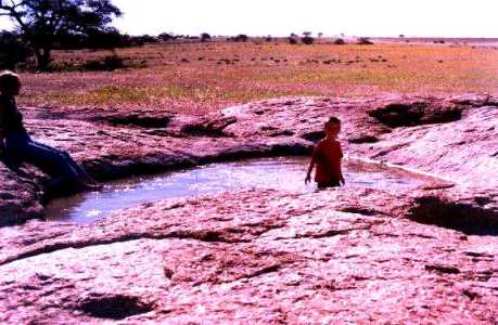Rain pools in the Namib Desert