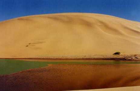 rare desert water pool