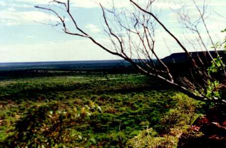 The viewfrom the top of the Waterberg in Namibia