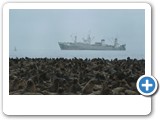 Pelican Point and bay offer safe harbour for both seals and ships.