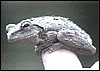 Treefrog