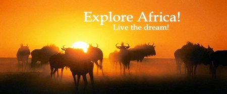 Photographic safari through Southern Africa