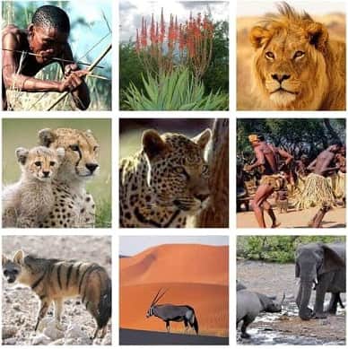 Encyclopedia Afrikana by Gateway Africa founded in 1987
