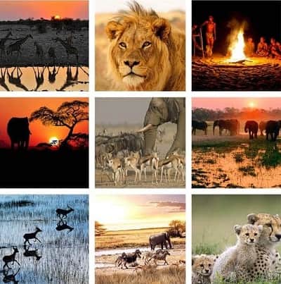 All-inclusive small group travel covering Namibian Okavango Delta, Etosha Park, wildlife, tribes