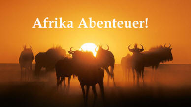 Rundreisen Namibia: Etosha Park, Sossusvlei, Damaraland, Swakopmund, Okavango