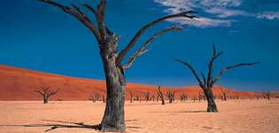 The majestic red dunes of the Namib desert at Sossusvlei