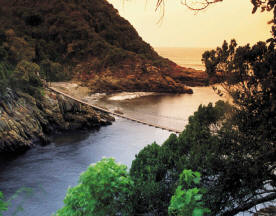 Spectacular Cape Garden Route