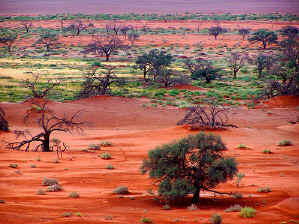 Experience the stunning beauty the Namib-Naukluft National Park in Namibia