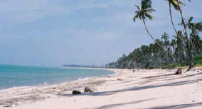 Tropical beaches of Mozambique
