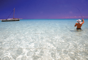 Beaches of Mozambique