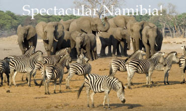 Affordable small group wildlife camping safaris and lodge tours to Etosha National Park