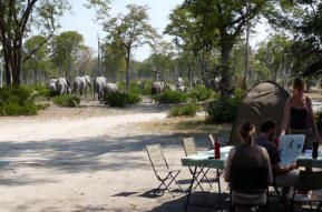 Affordable African camping safaris ranging from cheap budget overland trips to standard accommodated lodge tours in Namibia, Botswana, South Africa and Victoria Falls.