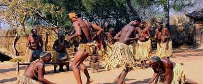 Myths about Africa, animals and plants